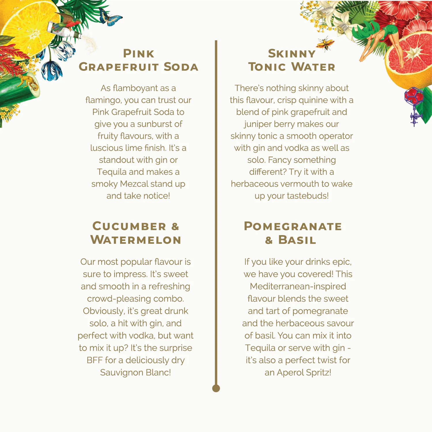 Discovery box (Try at 50% OFF!) - Image 4